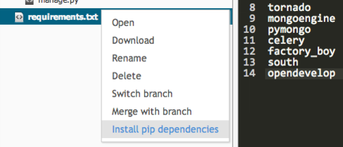 pip install, on sourceLair